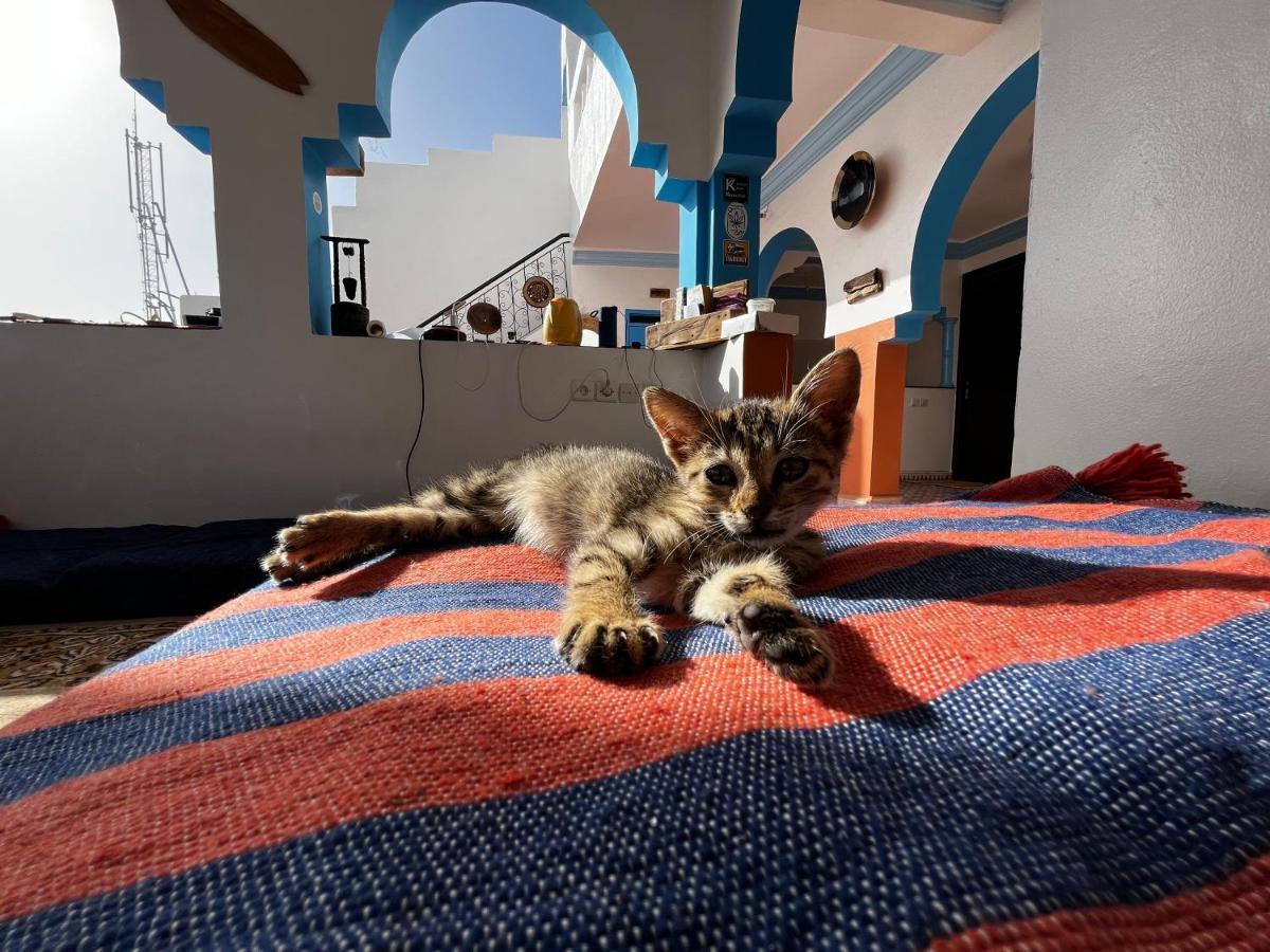 Binic Surf House Bed & Breakfast ทากาเซาท์ ภายนอก รูปภาพ